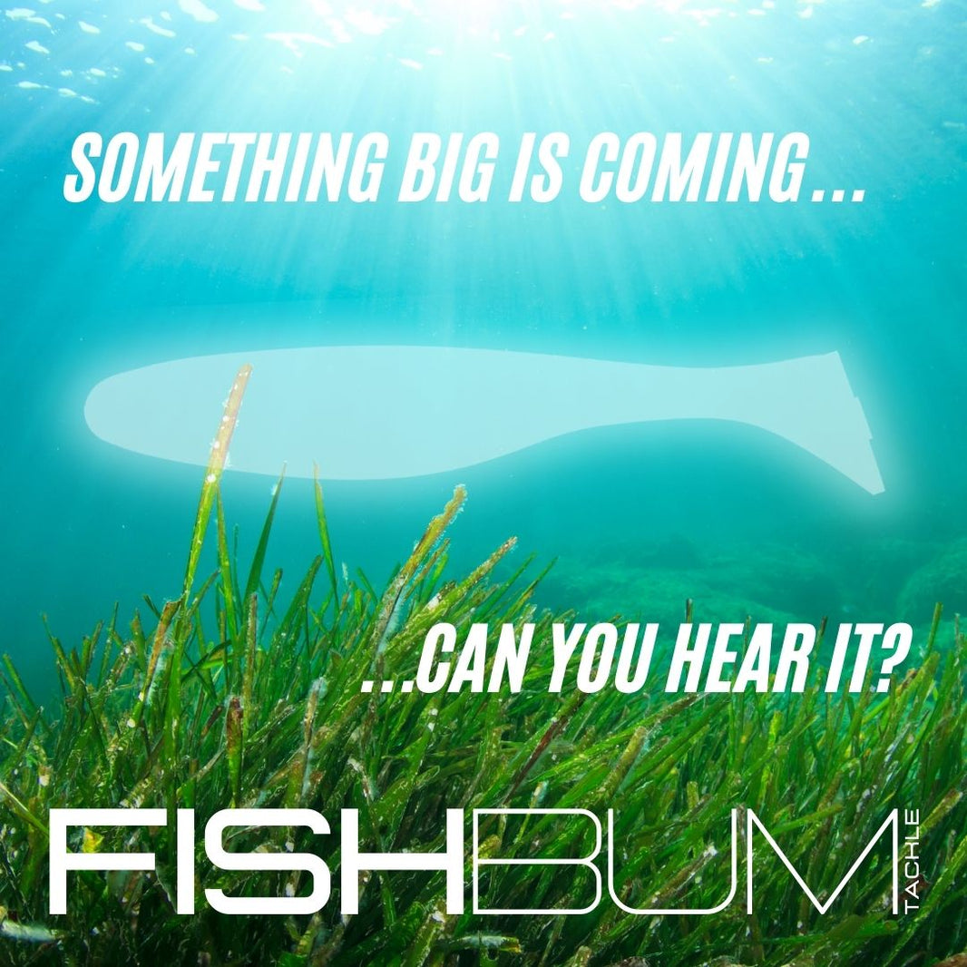 New Release for 2025 Fish Bum Tackle